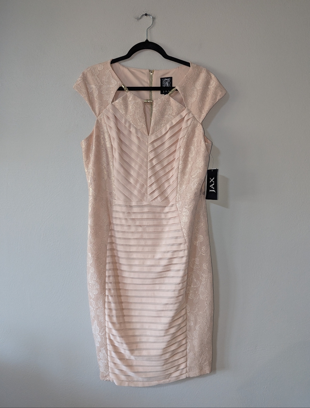 16 NWT Jax Champagne Pink Lace‎ Sheath Dress